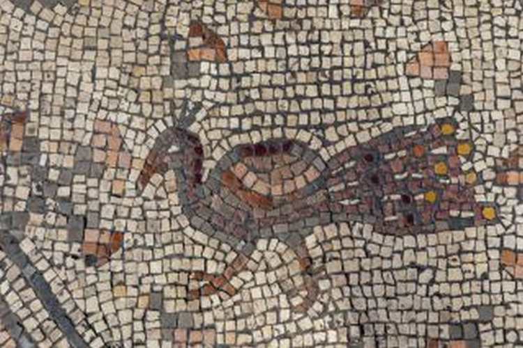 Фото: University of Haifa