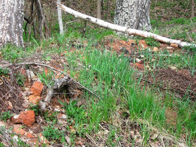 Развалины Мелхиседековой пустыни