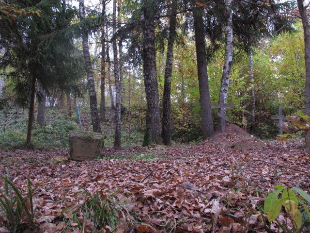 Монахов ров в рославльском лесу