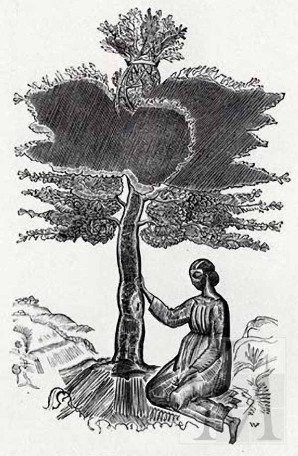 Руфь, сидящая у древа. В.А. Фаворский. 1924 Руфь, сидящая у древа. В.А. Фаворский. 1924