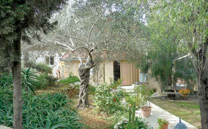 Виды Горненского монастыря 